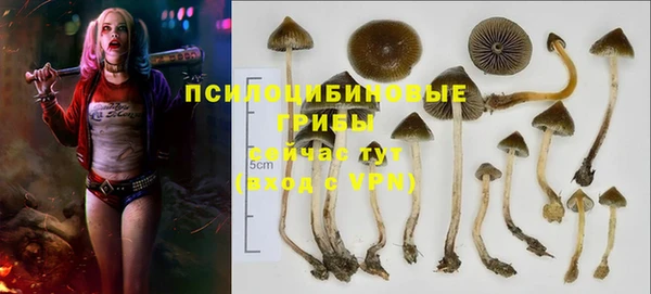 эйфоретик Армянск